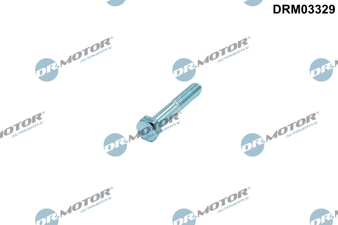 Schroef, inspuitstukhouder Dr.Motor Automotive DRM03329