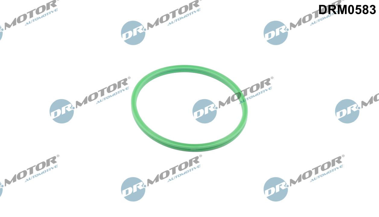 Laadlucht-/turboslang Dr.Motor Automotive DRM0583