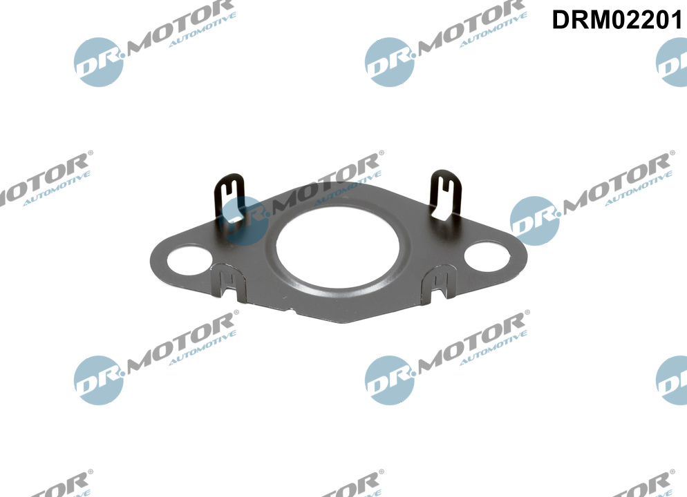 Dichtring, leiding EGR-klep Dr.Motor Automotive DRM02201