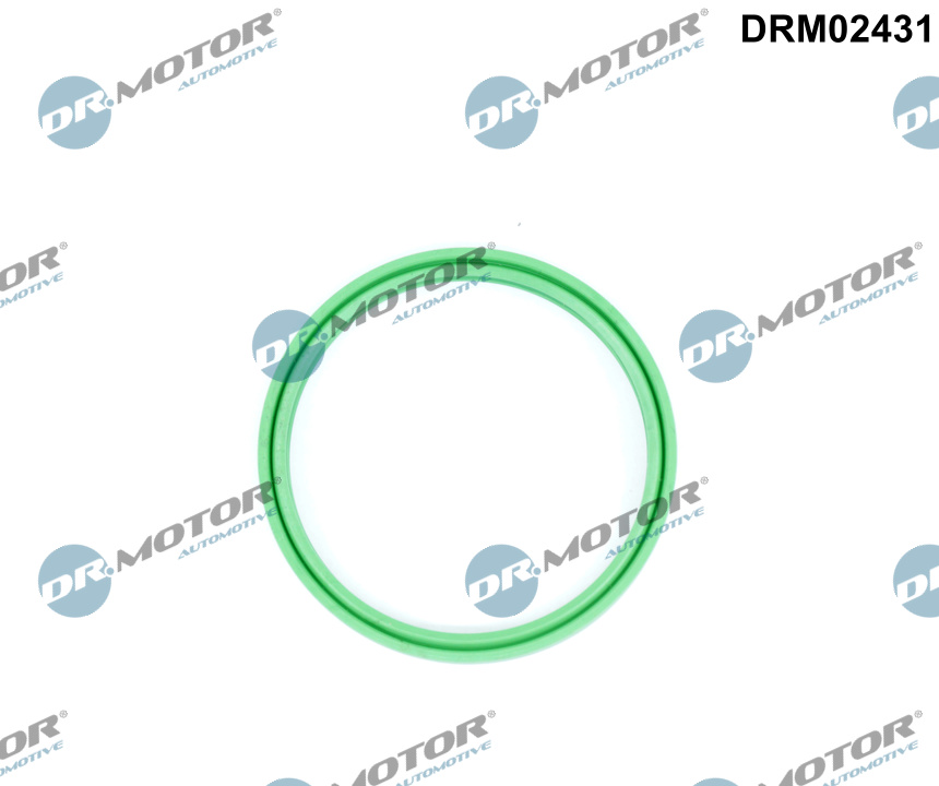Dichtring, laadluchtslang Dr.Motor Automotive DRM02431