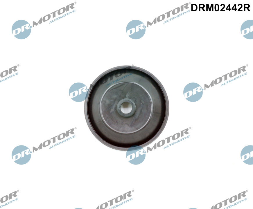 Klep, luchtregeling (aanzuiglucht) Dr.Motor Automotive DRM02442R