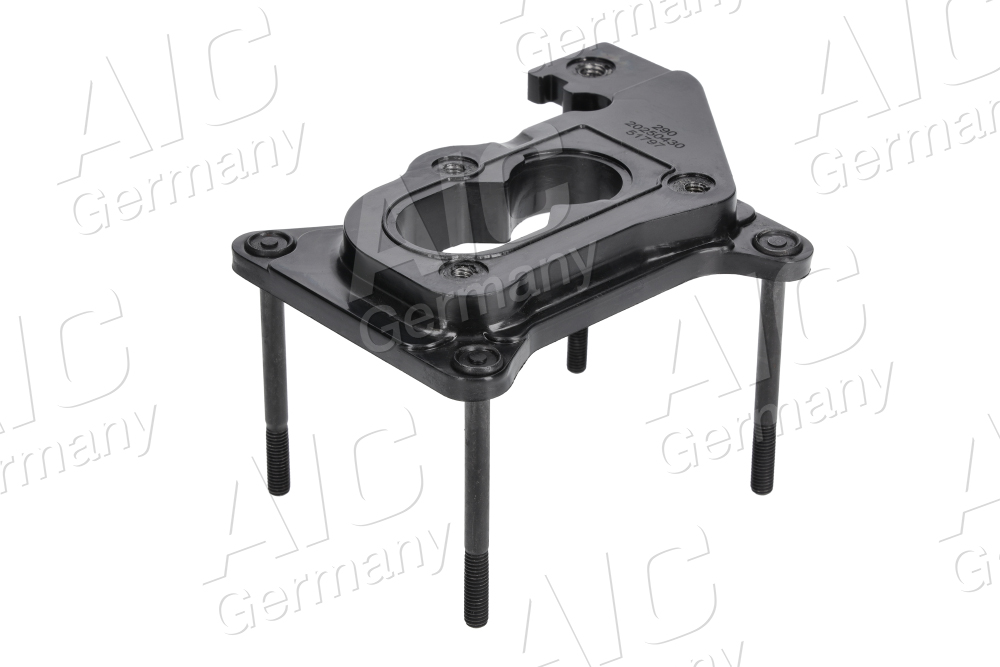 Carburateur flens AIC 51797