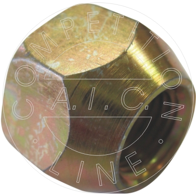 Wielbout/moer AIC 52920