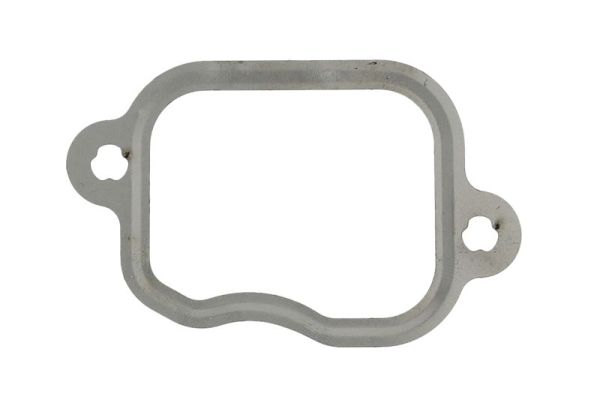 Pakking, inlaatspruitstuk Engitech ENT011205