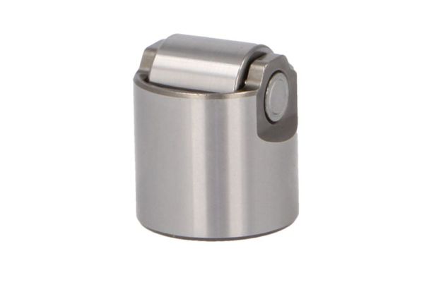 Taster, hogedrukpomp Engitech ENT190050