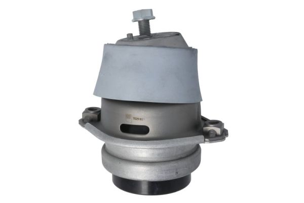 Motorsteun Reinhoch RH11-3147