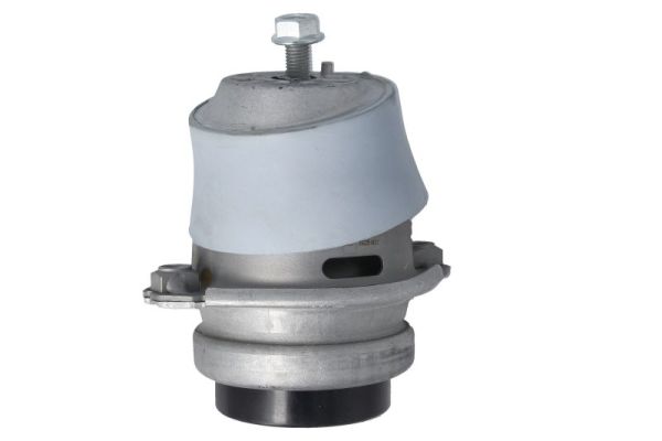 Motorsteun Reinhoch RH11-3148