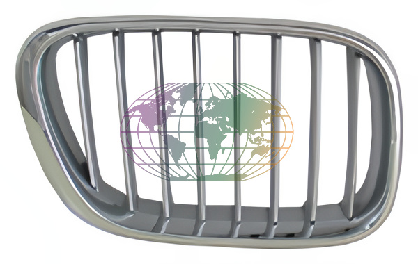 Grille Bodermann 1606357