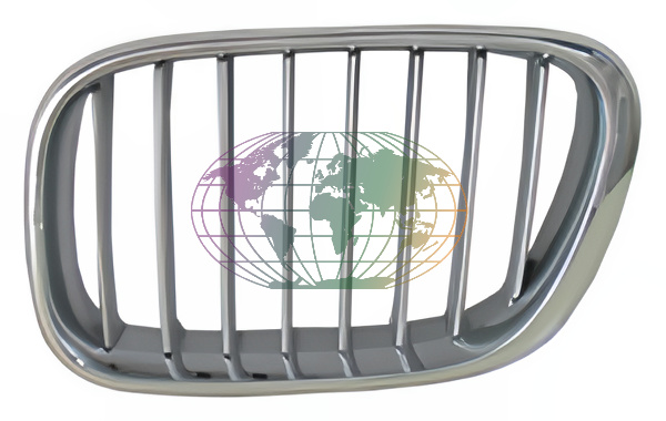 Grille Bodermann 1606358