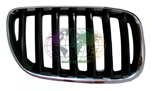 Grille Bodermann 1607351