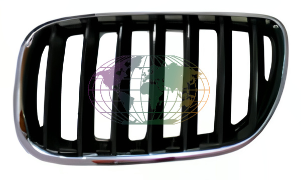 Grille Bodermann 1607352