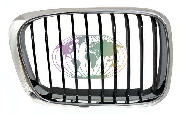 Grille Bodermann 1636355