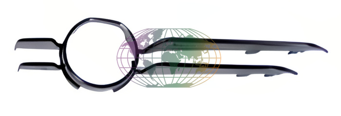 Grille Bodermann 1636365