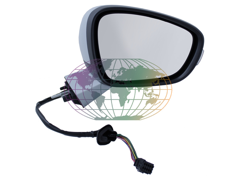 Buitenspiegel Bodermann 2007081