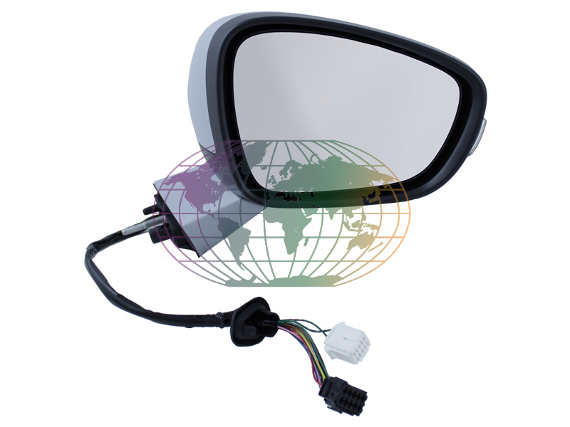 Buitenspiegel Bodermann 2007085