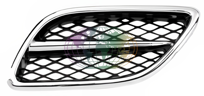 Grille Bodermann 2413352