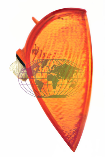 Knipperlicht Bodermann 3225302