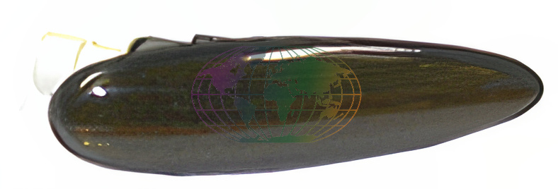 Knipperlicht Bodermann 3255300