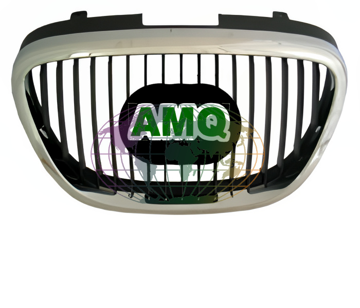 Grille Bodermann 3283350