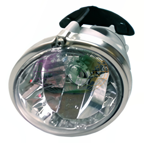 Mistlamp Bodermann 4463296