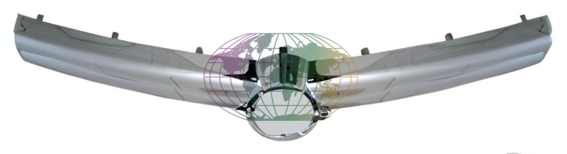 Grille Bodermann 6420353