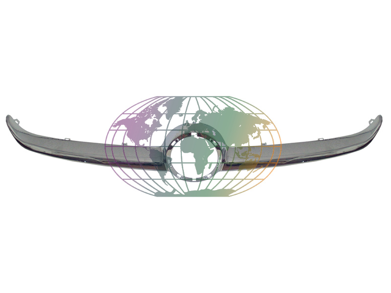 Grille Bodermann 6445355