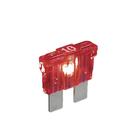Carpoint Steekzekering met licht assorti 10st 23951 Carpoint Steekzekering met licht assorti 10st 23951