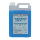 Carpoint Protecton Ruitensproeierantivries gebruiksklaar 5L 50695 Carpoint Protecton Ruitensproeierantivries gebruiksklaar 5L 50695