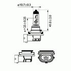 Philips Gloeilamp bochtcorrectieschijnwerper / Gloeilamp grootlicht / Gloeilamp koplamp / Gloeilamp mistlicht 12362PRC1 Philips Gloeilamp bochtcorrectieschijnwerper / Gloeilamp grootlicht / Gloeilamp koplamp / Gloeilamp mistlicht 12362PRC1