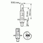 Philips Gloeilamp bochtcorrectieschijnwerper / Gloeilamp grootlicht / Gloeilamp koplamp / Gloeilamp mistlicht 12258VPS2 Philips Gloeilamp bochtcorrectieschijnwerper / Gloeilamp grootlicht / Gloeilamp koplamp / Gloeilamp mistlicht 12258VPS2