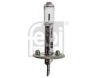 Febi Bilstein Gloeilamp koplamp / Gloeilamp mistlicht 06665 Febi Bilstein Gloeilamp koplamp / Gloeilamp mistlicht 06665