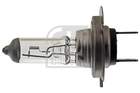 Febi Bilstein Gloeilamp koplamp 12708 Febi Bilstein Gloeilamp koplamp 12708