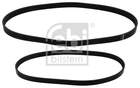 Febi Bilstein Poly V-riemen kit 40859 Febi Bilstein Poly V-riemen kit 40859