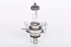 Bosch Gloeilamp koplamp / Gloeilamp mistlicht 1 987 302 041 Bosch Gloeilamp koplamp / Gloeilamp mistlicht 1 987 302 041