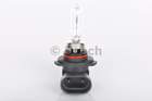 Bosch Gloeilamp koplamp / Gloeilamp mistlicht 1 987 302 152 Bosch Gloeilamp koplamp / Gloeilamp mistlicht 1 987 302 152