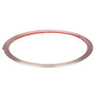 Richter Chroomsierlijst Plat 3.5mm x 3.65mt RC 13957 Richter Chroomsierlijst Plat 3.5mm x 3.65mt RC 13957