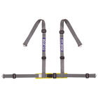 Sparco 4-Pnt Gordel Zilver Bekkenbesch+Sch SP 4604BVS Sparco 4-Pnt Gordel Zilver Bekkenbesch+Sch SP 4604BVS