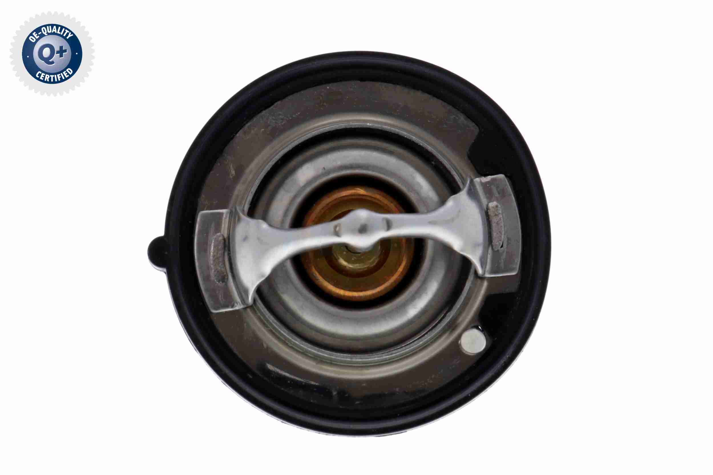 Ackoja Thermostaat A38-99-0005