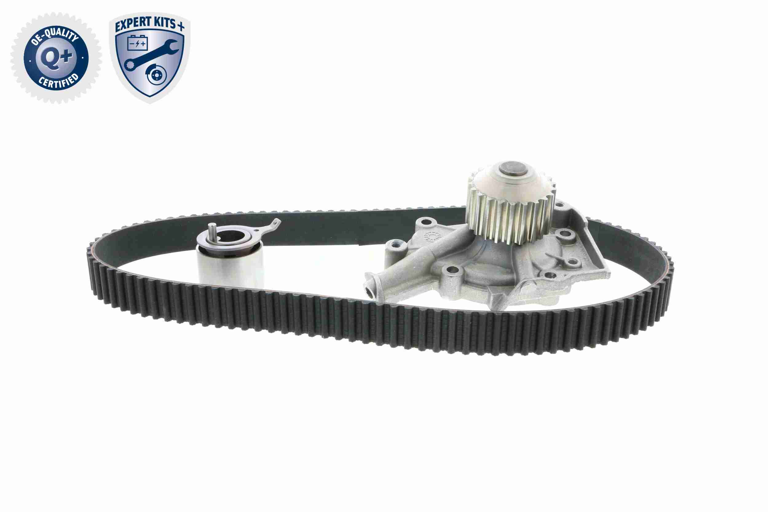 Ackoja Distributieriem kit inclusief waterpomp A51-0201W