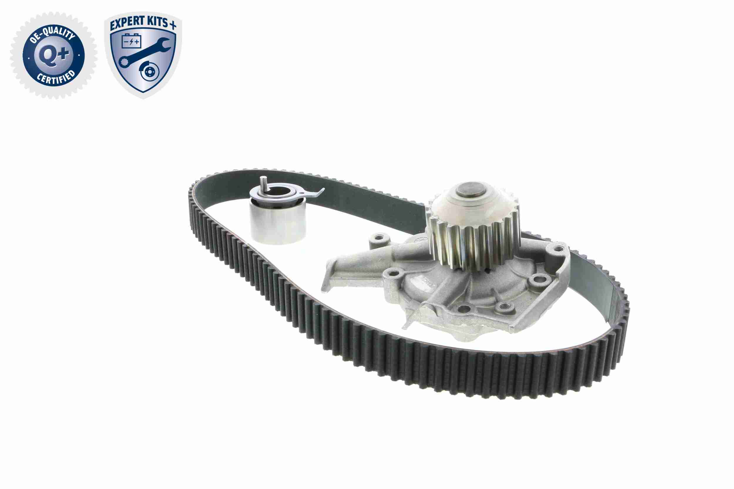 Ackoja Distributieriem kit inclusief waterpomp A51-0201W