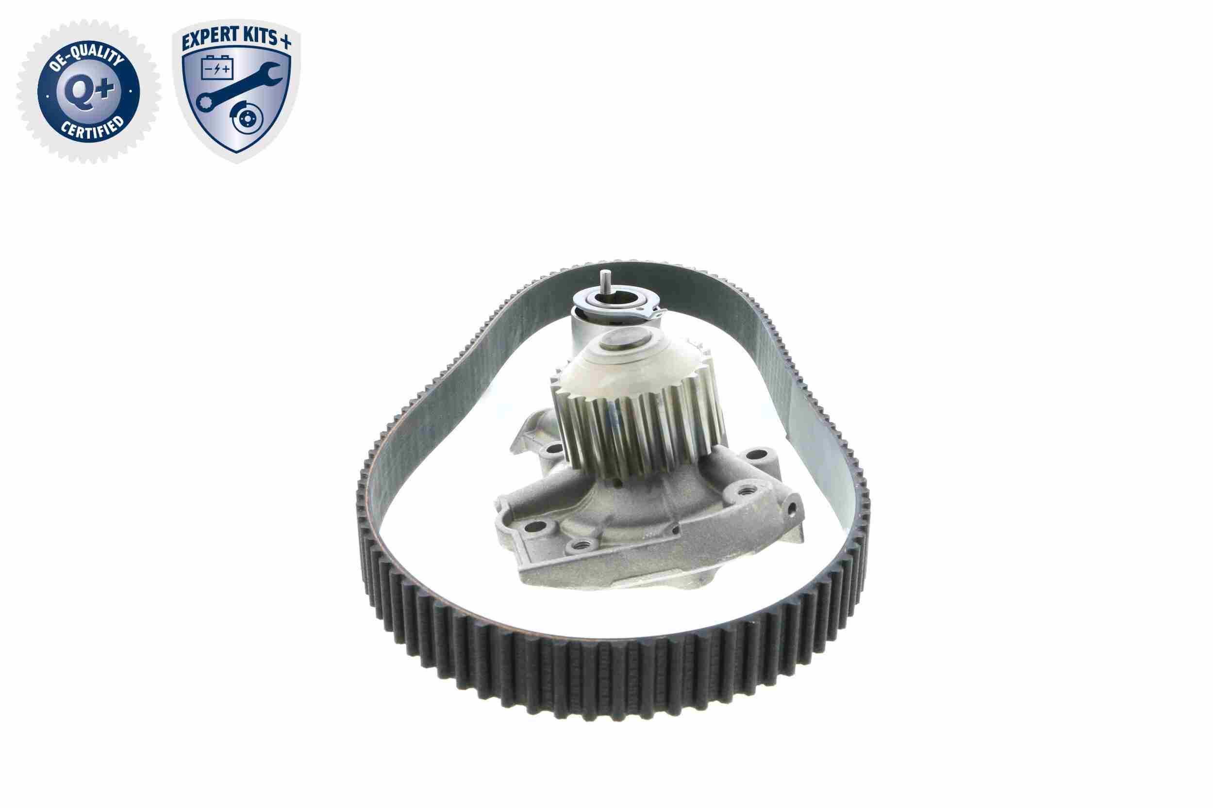 Ackoja Distributieriem kit inclusief waterpomp A51-0201W