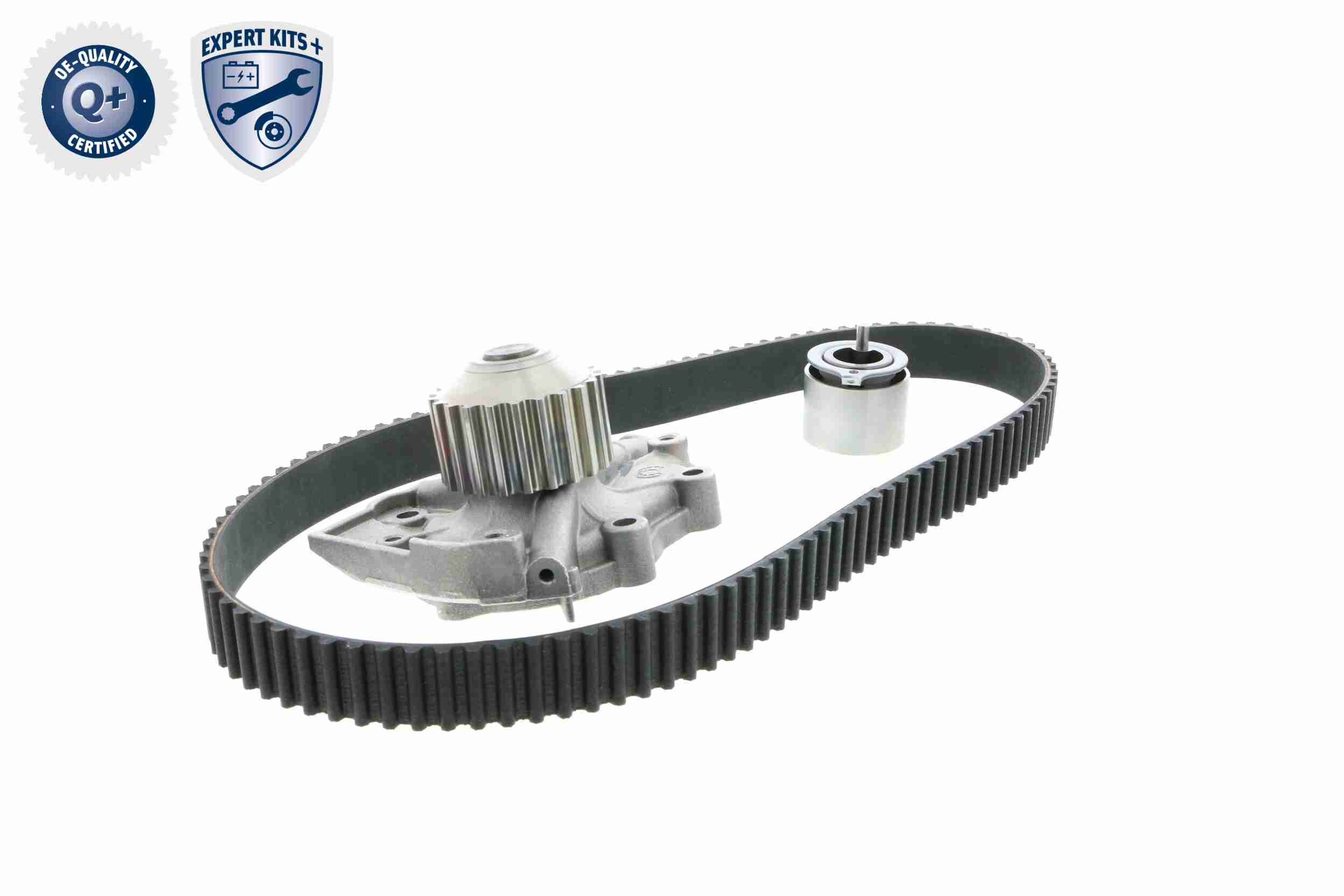 Ackoja Distributieriem kit inclusief waterpomp A51-0201W