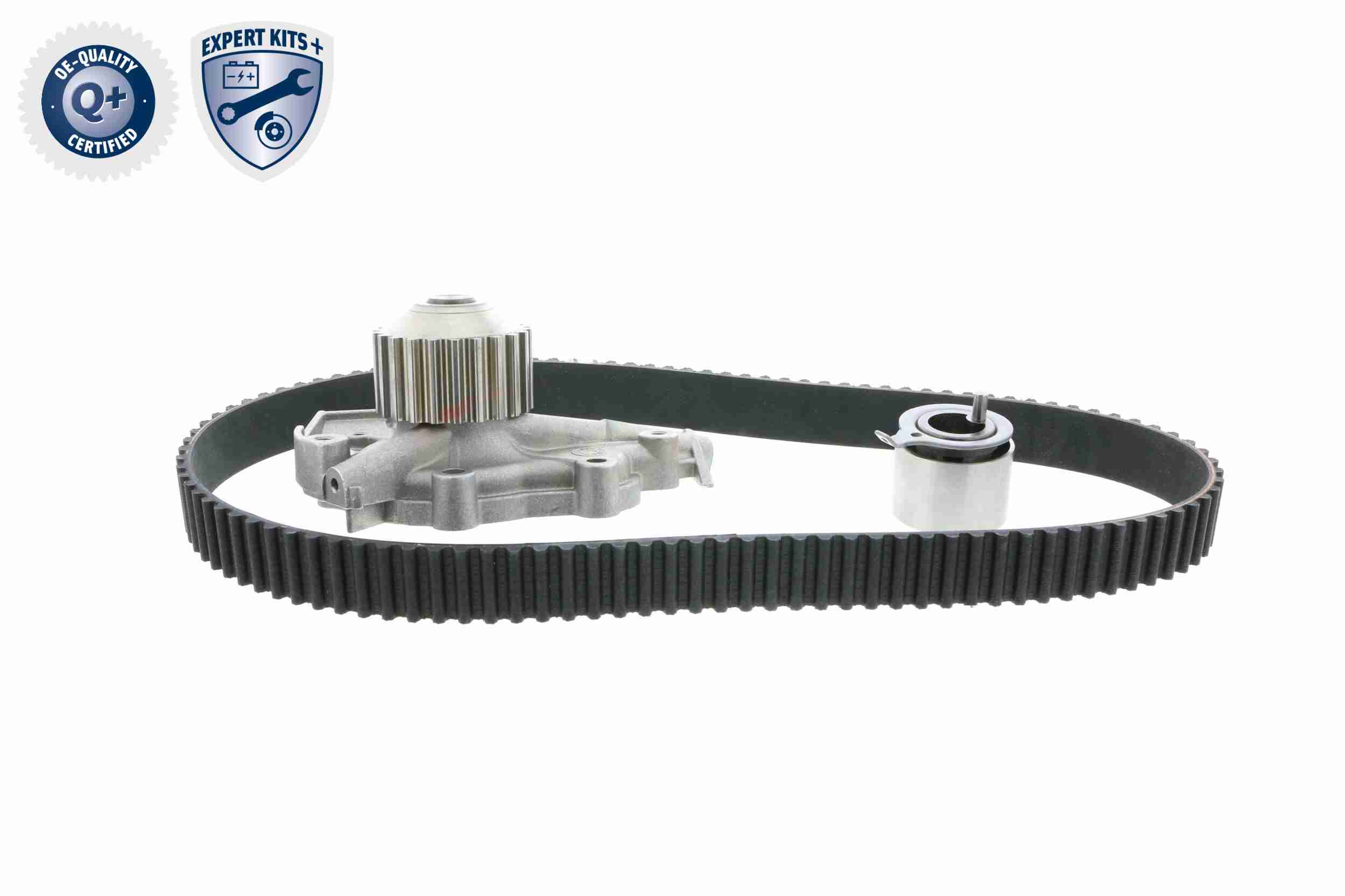 Ackoja Distributieriem kit inclusief waterpomp A51-0201W