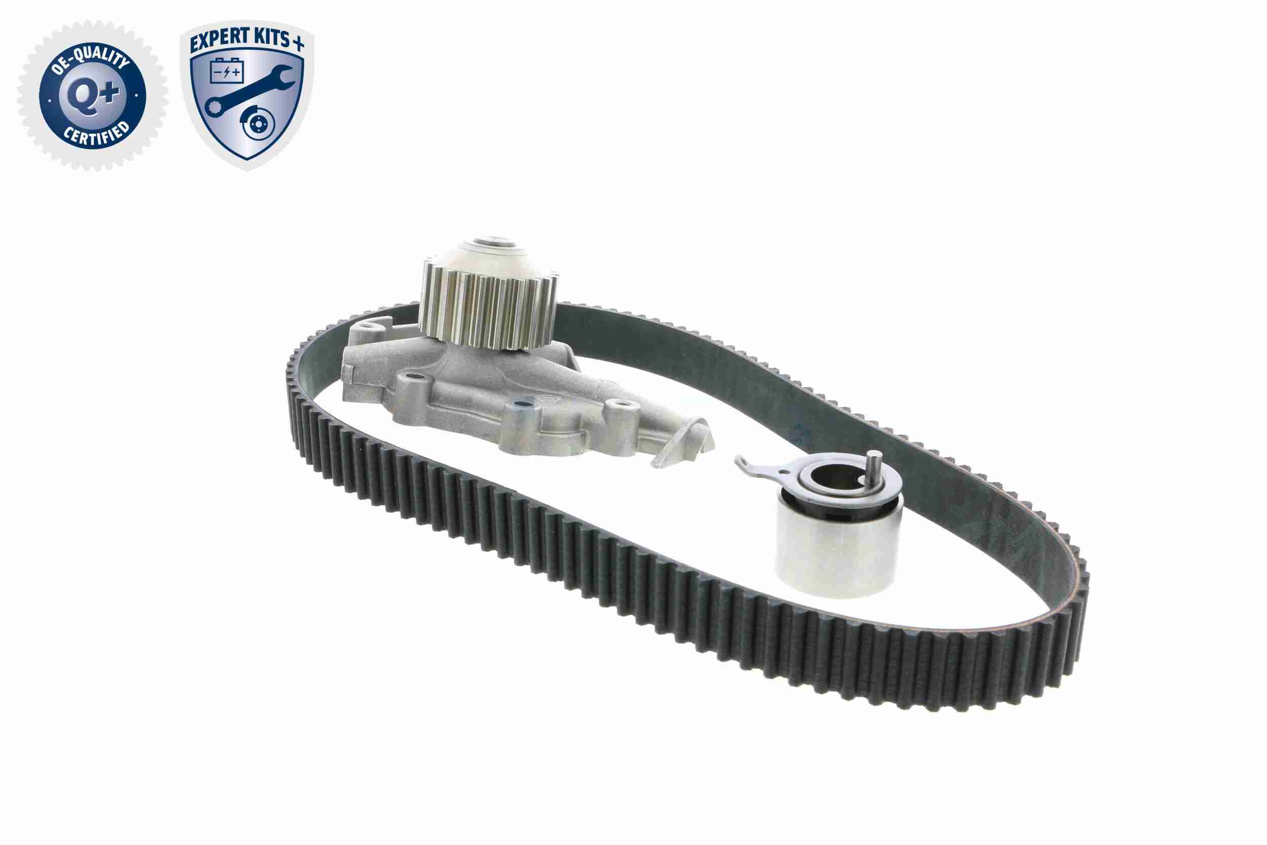 Ackoja Distributieriem kit inclusief waterpomp A51-0201W