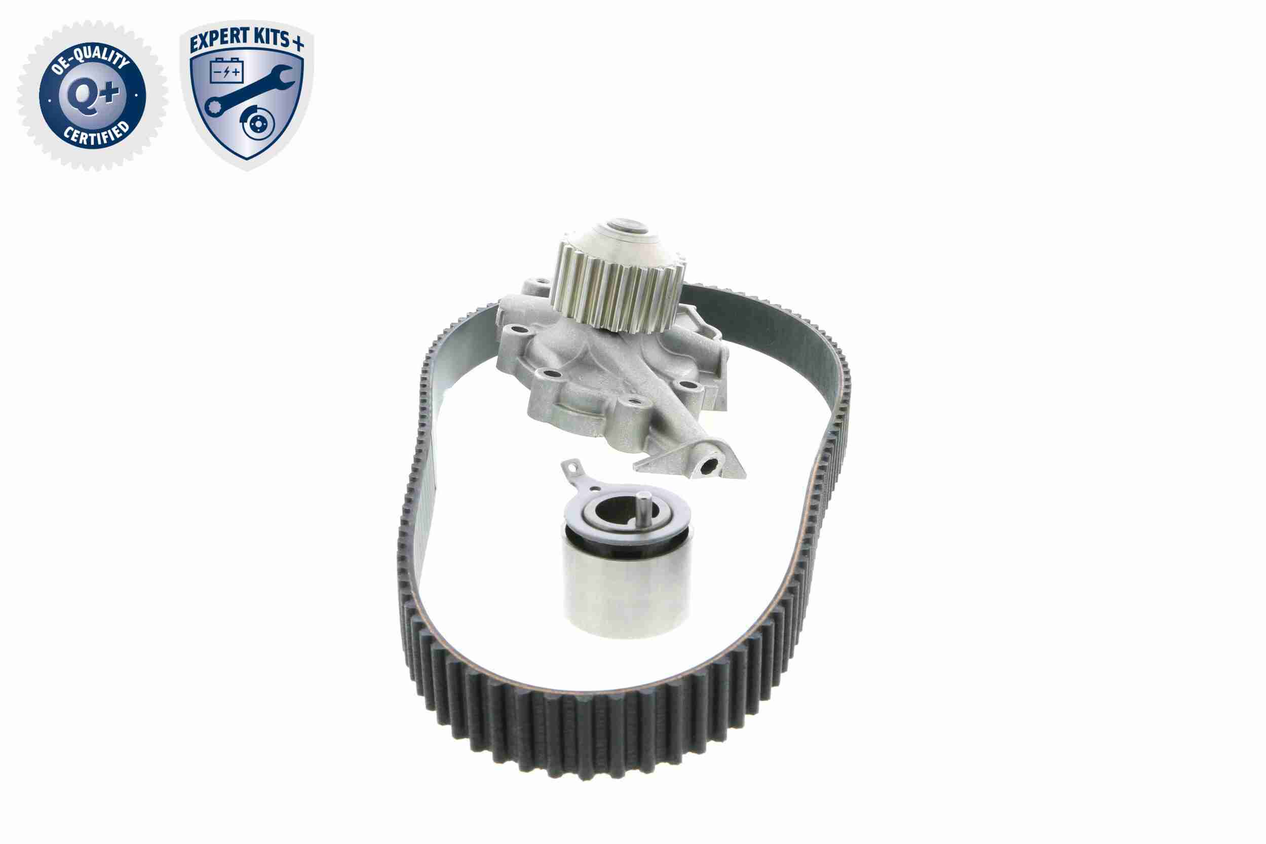 Ackoja Distributieriem kit inclusief waterpomp A51-0201W