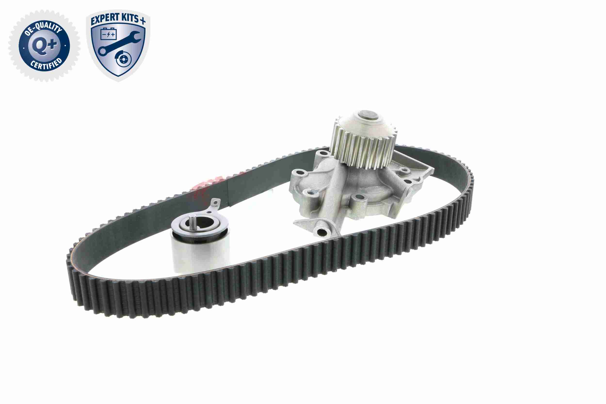 Ackoja Distributieriem kit inclusief waterpomp A51-0201W