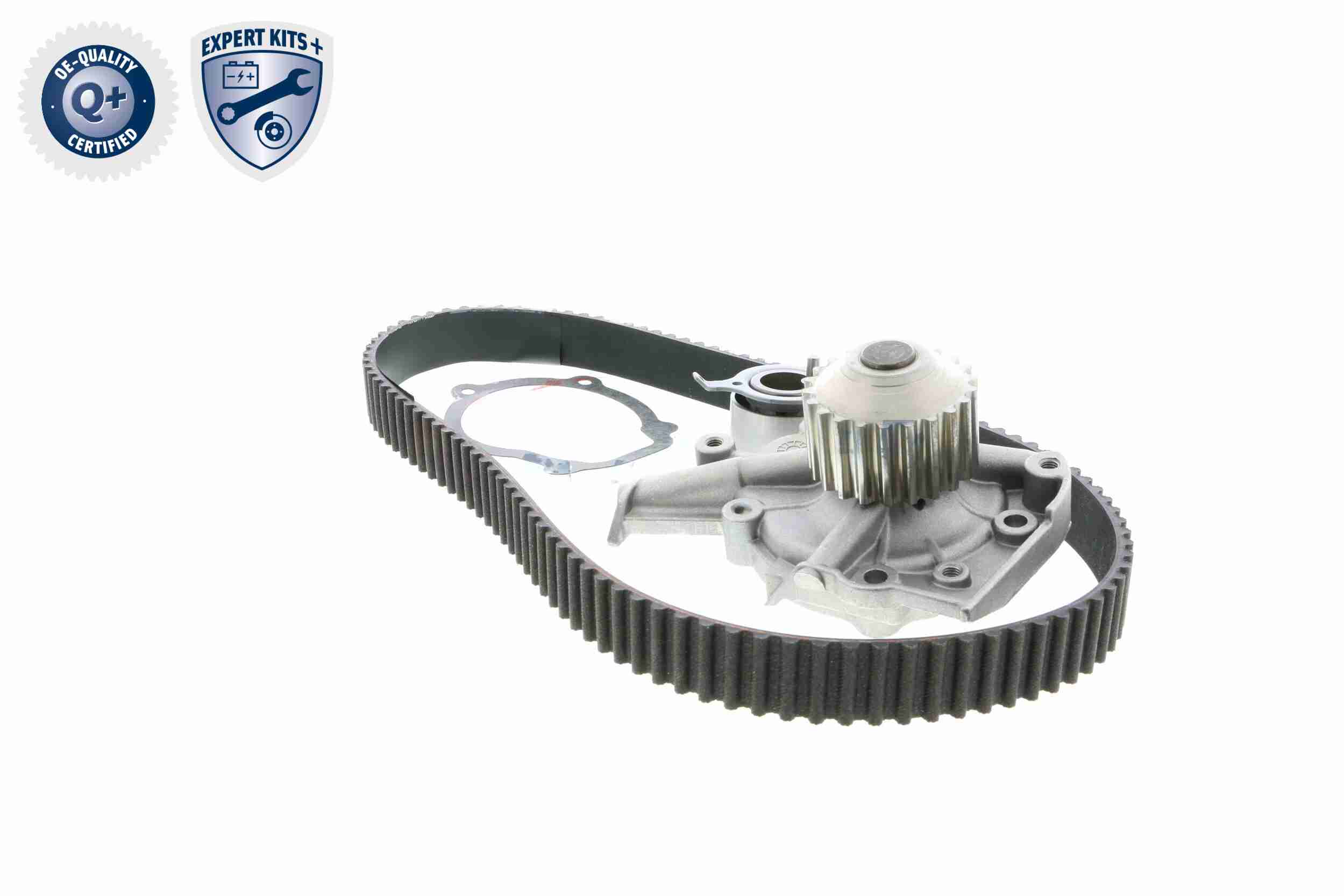 Ackoja Distributieriem kit inclusief waterpomp A51-0202W