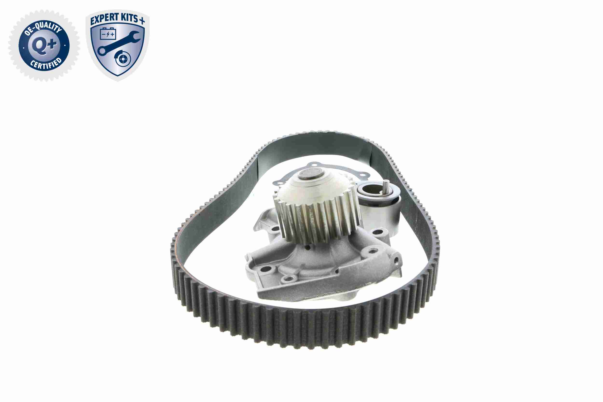 Ackoja Distributieriem kit inclusief waterpomp A51-0202W