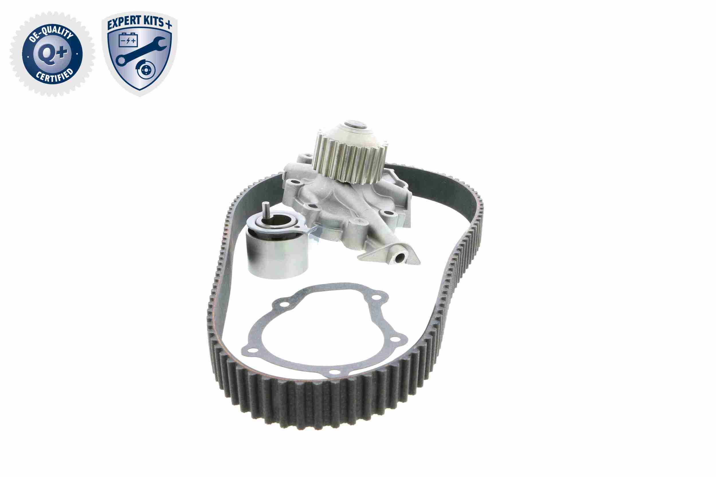 Ackoja Distributieriem kit inclusief waterpomp A51-0202W