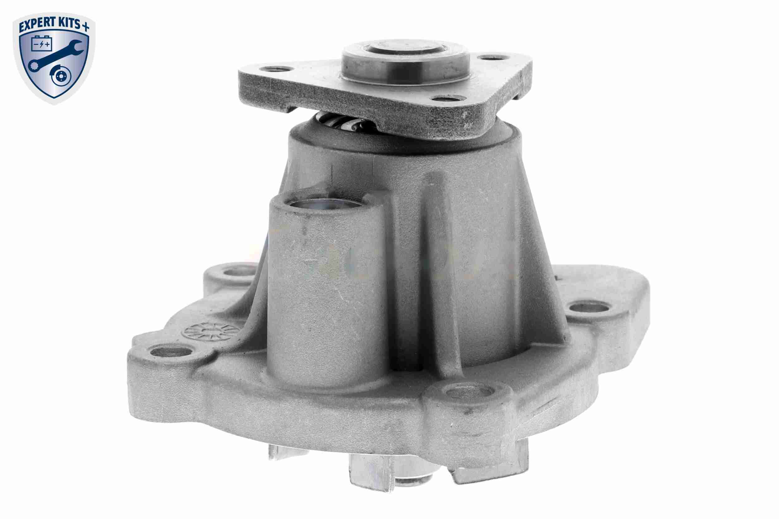 Ackoja Waterpomp A53-50003